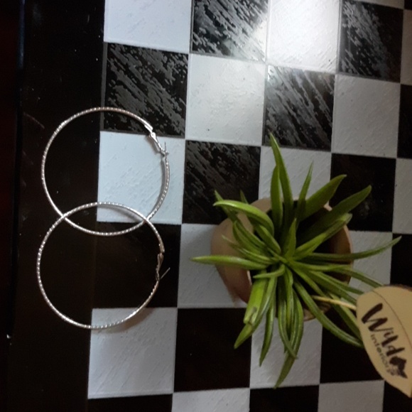 Earnings - Picture 2 of 3